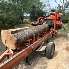 Tree-Removal-and-Sawmill-Services-project-in-Sudlersville-MD 13